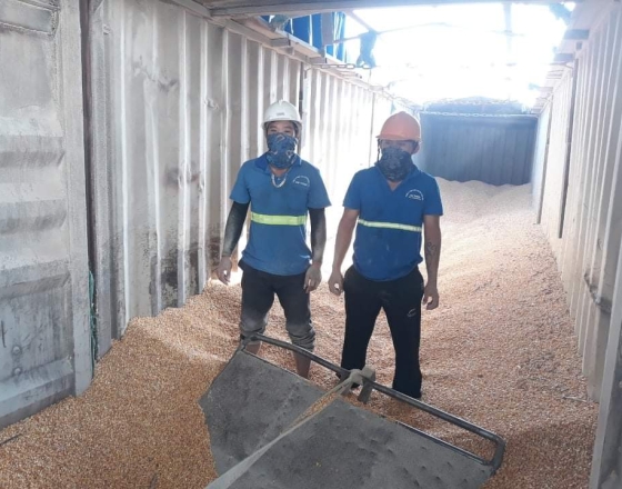 Tuyển Nhân Viên Bốc Xếp - Tìm Nhân Viên Bốc Xếp